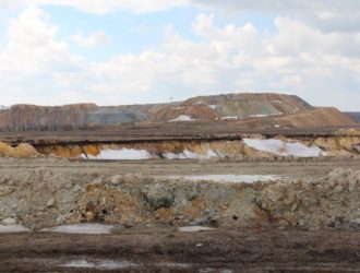 Мониторинг состояния окружающей среды на Березняковском участке